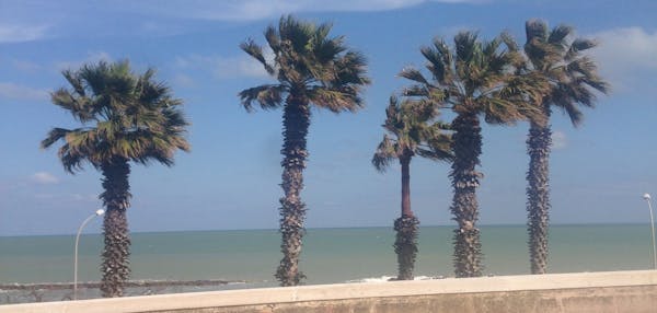 Alzheimer: in Puglia metodi integrati per l’assistenza ai pazienti e alle famiglie
